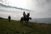 Enlarge photo 282