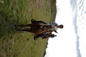 Enlarge photo 363