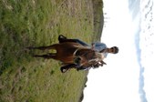 Enlarge photo 364