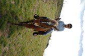 Enlarge photo 365