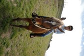 Enlarge photo 366