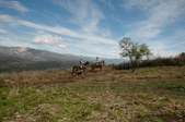 Enlarge photo 372