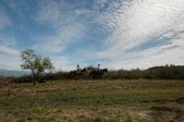 Enlarge photo 375