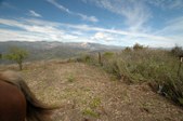 Enlarge photo 393