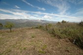 Enlarge photo 394