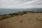 Enlarge photo 397