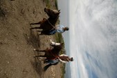 Enlarge photo 405