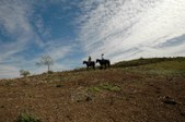Enlarge photo 417