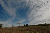 Enlarge photo 419
