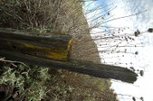 Enlarge photo 445
