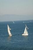 Enlarge photo 35