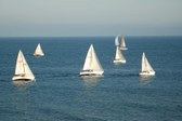 Enlarge photo 36