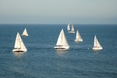 Enlarge photo 37
