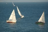 Enlarge photo 39