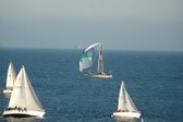 Enlarge photo 41
