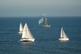 Enlarge photo 42