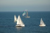 Enlarge photo 43