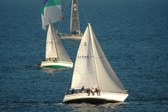 Enlarge photo 44
