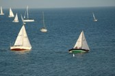 Enlarge photo 45