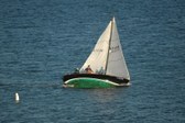 Enlarge photo 46