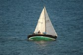 Enlarge photo 48