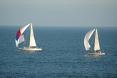 Enlarge photo 49