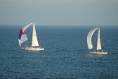 Enlarge photo 50
