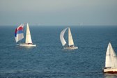 Enlarge photo 51
