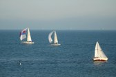 Enlarge photo 52