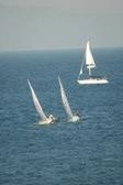 Enlarge photo 54
