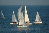 Enlarge photo 57