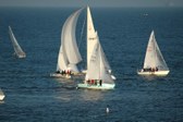 Enlarge photo 58