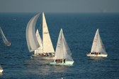 Enlarge photo 59