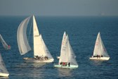 Enlarge photo 60