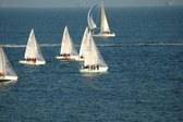 Enlarge photo 61
