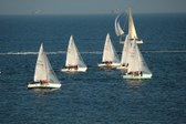 Enlarge photo 62