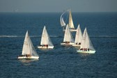 Enlarge photo 63