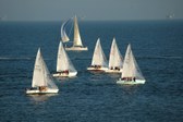 Enlarge photo 64