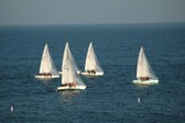 Enlarge photo 65