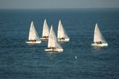 Enlarge photo 66