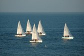 Enlarge photo 67
