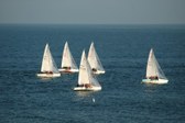 Enlarge photo 68