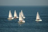 Enlarge photo 69