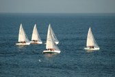 Enlarge photo 70