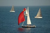 Enlarge photo 72