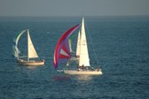 Enlarge photo 73