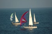 Enlarge photo 74