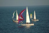 Enlarge photo 76