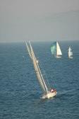 Enlarge photo 77