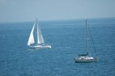 Enlarge photo 78